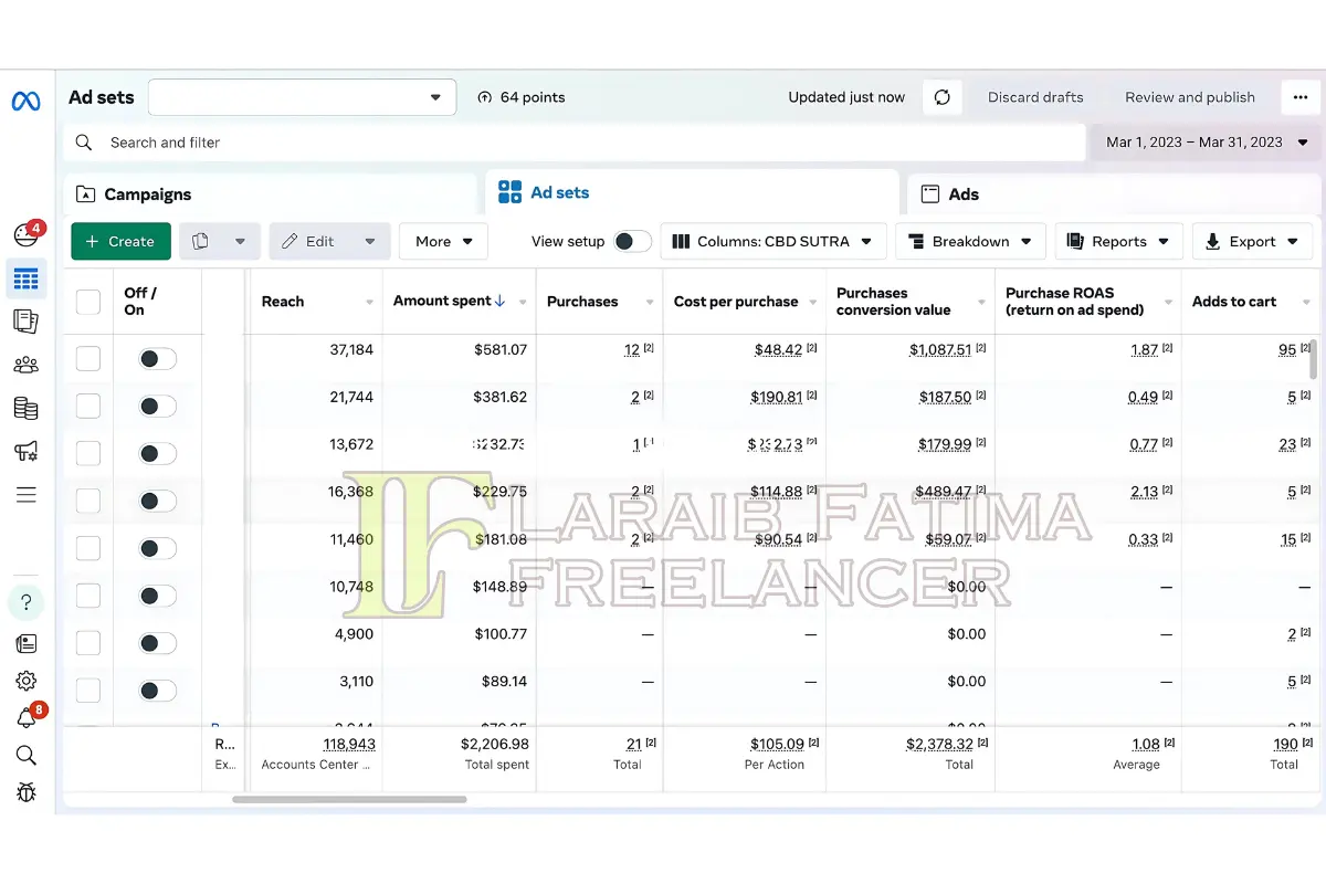 Laraib Fatima Social Media Marketing Portfolio