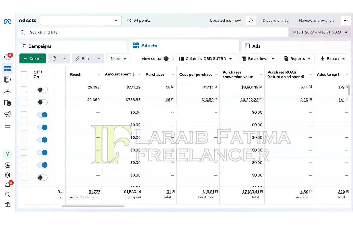 Laraib Fatima Social Media Marketing Portfolio