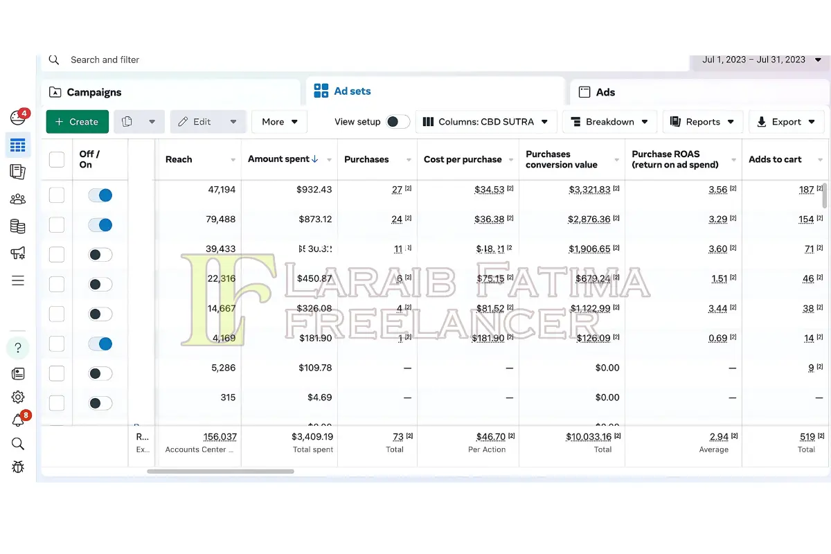 Laraib Fatima Social Media Marketing Portfolio
