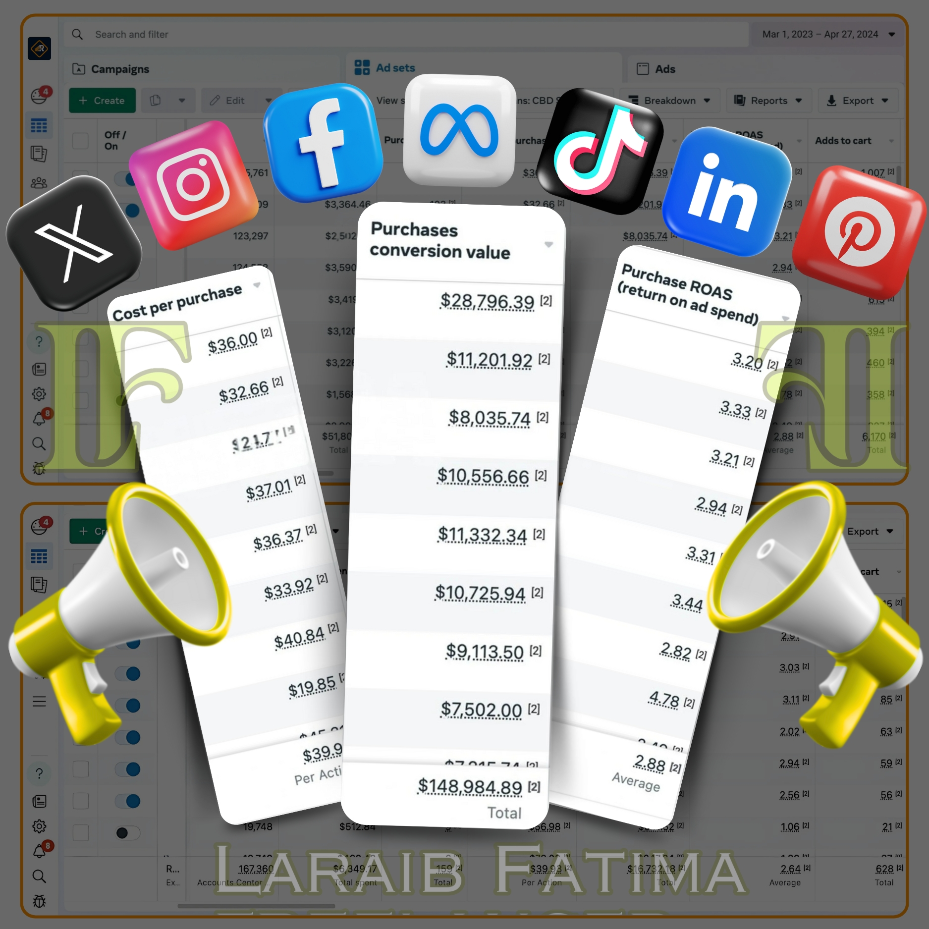 Laraib Fatima Social Media Marketing Portfolio