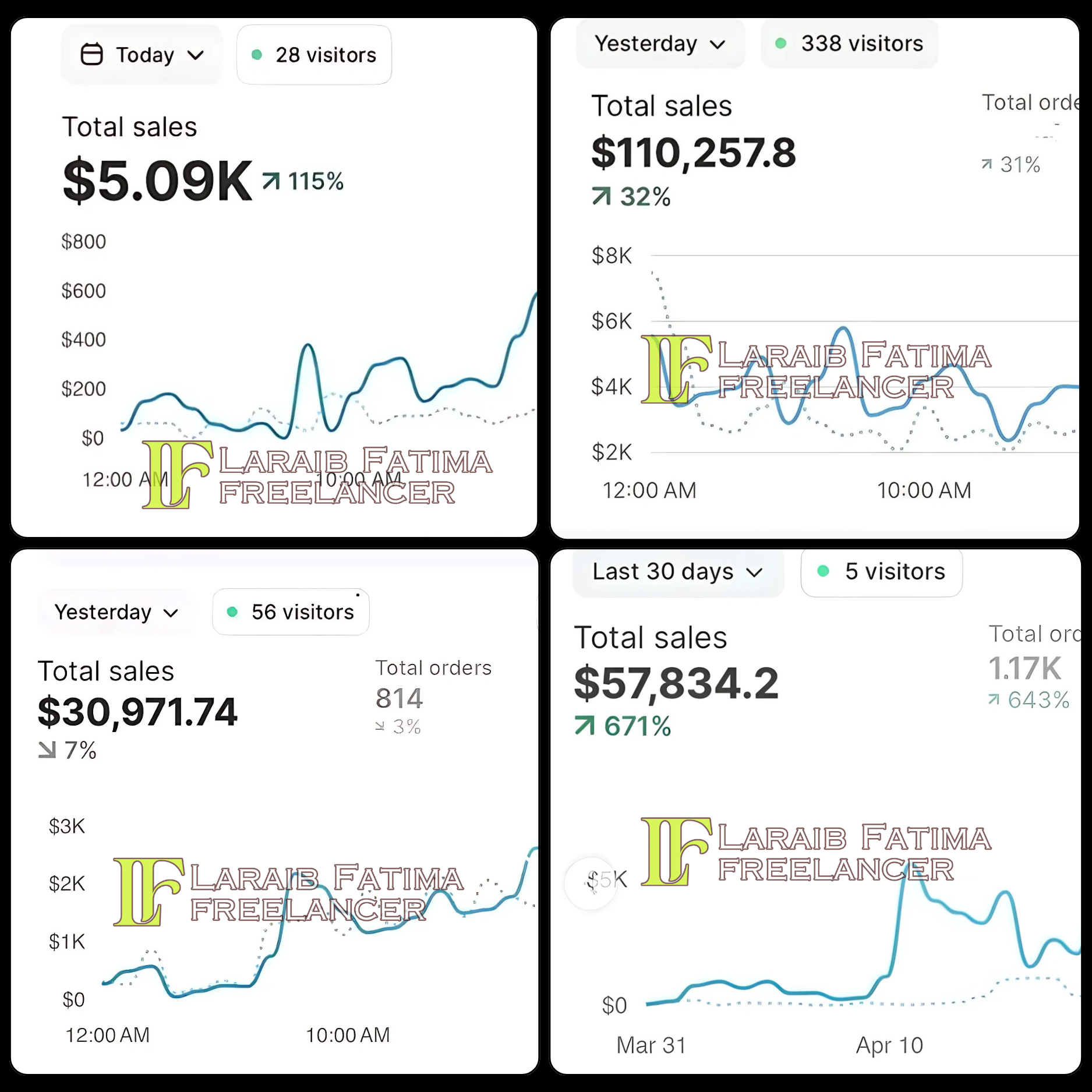 Shopify Sales Growth Portfolio Featured